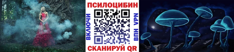 Псилоцибиновые грибы Psilocybine cubensis  как найти   Чехов 